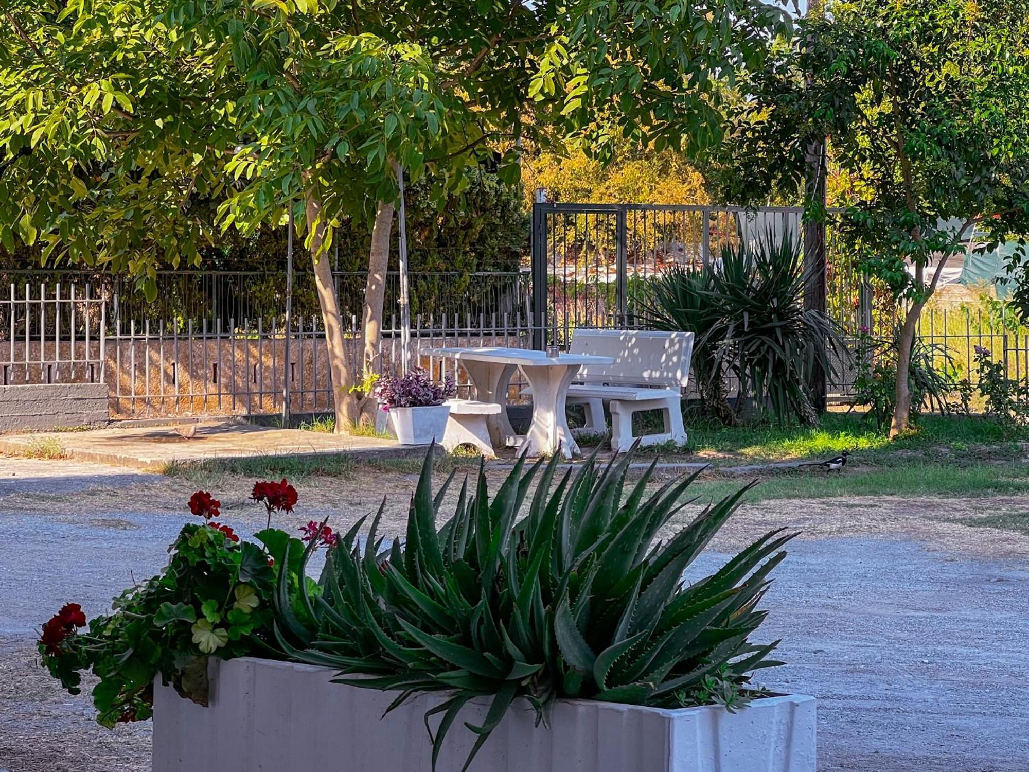 Prado Apartment Hotel Limín Litochórou Esterno foto